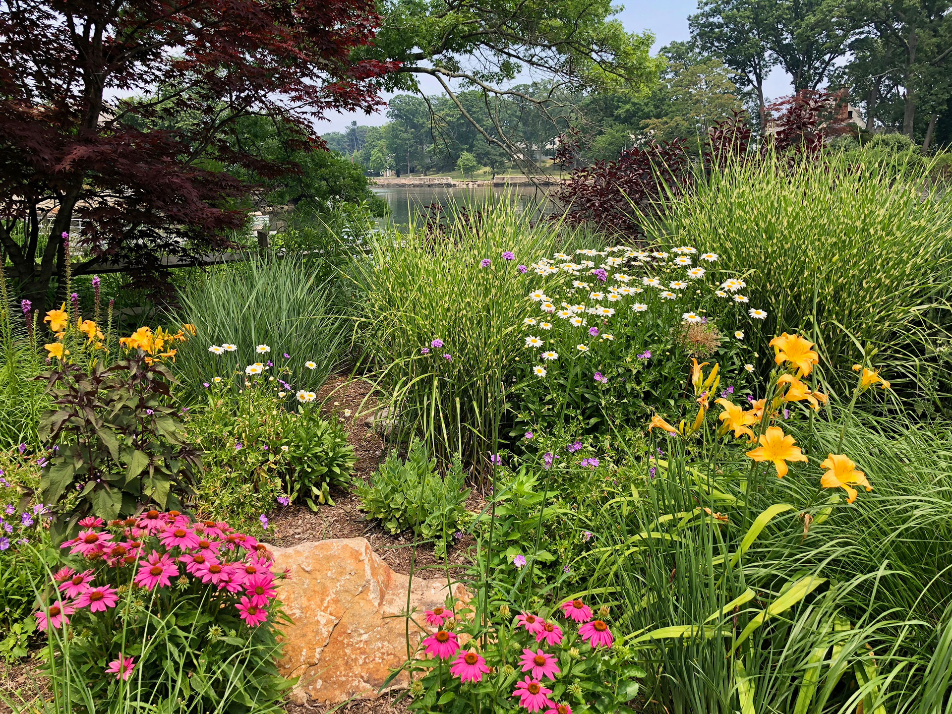 When is the Best Time to Prune Your Overgrown Flowering Tree? - Green